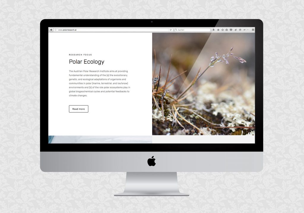 Website für APRI | © fein fein