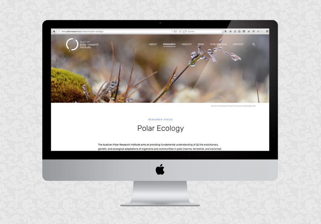 Website für APRI | © fein fein