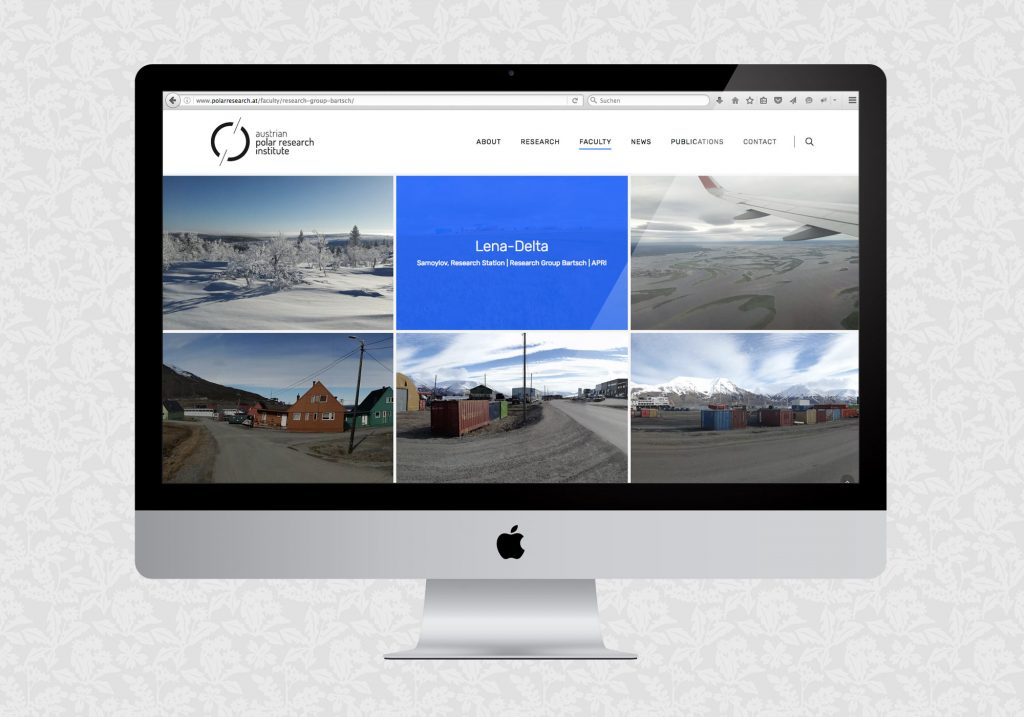 Website für APRI | © fein fein