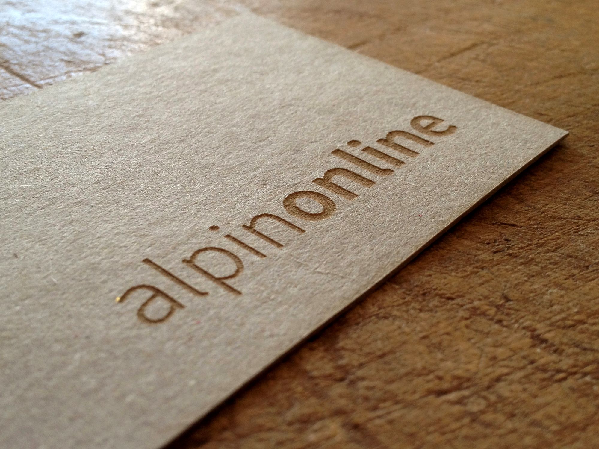 Logo und Geschäftsausstattung für alpinonline
