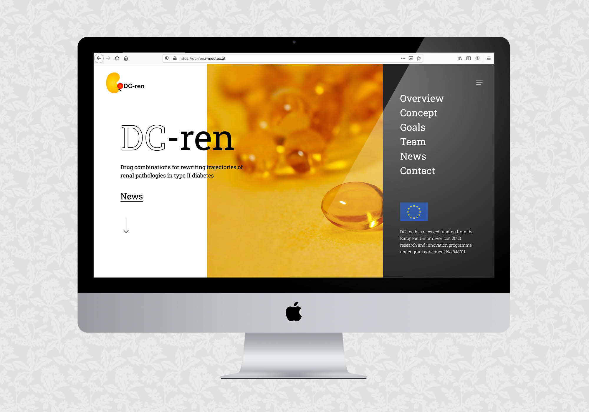 Website für das Projekt DC-ren der MedUni Innsbruck | © fein fein